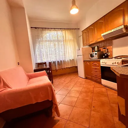 Comfort Apartment *